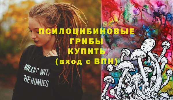 гашик Алзамай